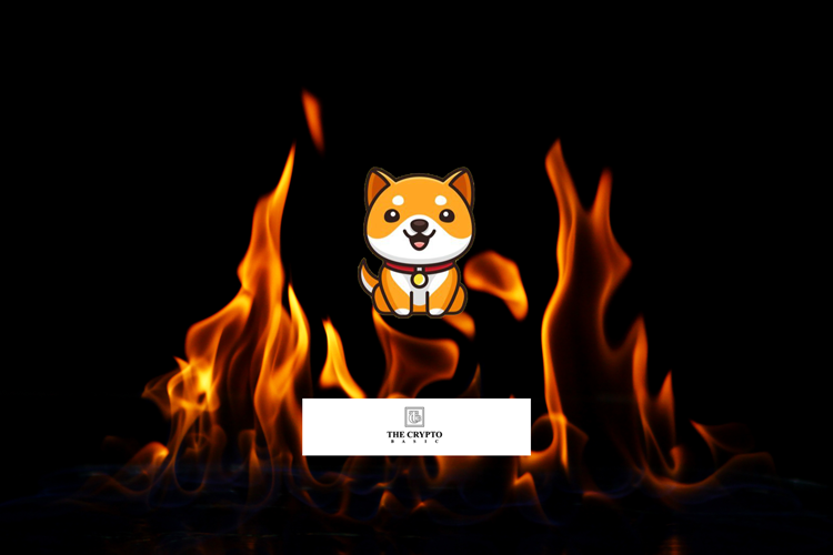 BabyDoge Announces Completion of its Burn Portal