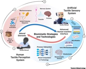 Biomimetic strategies and technologies for artificial tactile sensory systems