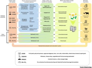 Biowaste upcycling into second-generation microbial protein through mixed-culture fermentation
