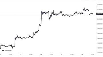 Bitcoin Bullish: Large Whales Accumulated 37.1k BTC Recently
