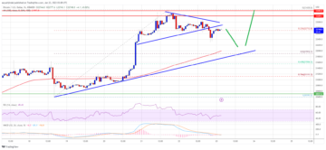 Bitcoin Bulls Keeps Pushing, Why BTC Price Increase Isn’t Over Yet