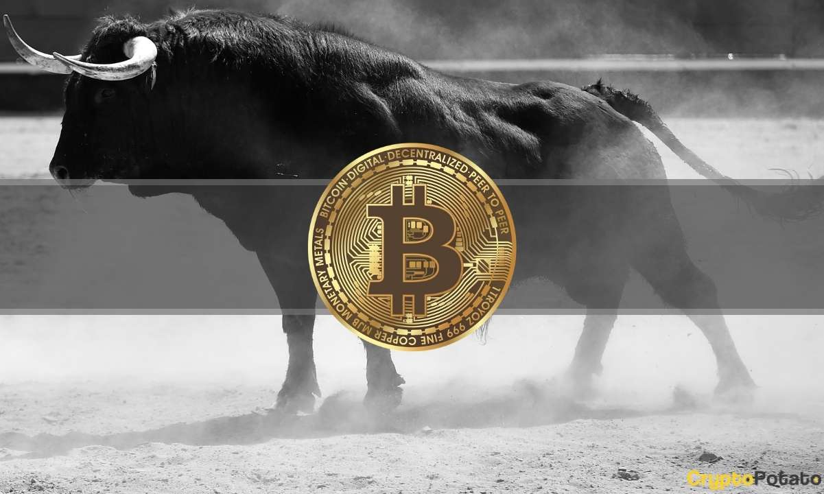Bitcoin Surges Past $23K, Is the Rally Sustainable? (Analysis)