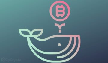 Bitcoin nhắm mục tiêu 25,000 đô la trong đợt đột phá cực kỳ tăng giá khi cá voi tăng gấp đôi khi mua số BTC khổng lồ