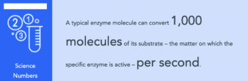 Bygge bedre enzymer - ved å bryte dem ned