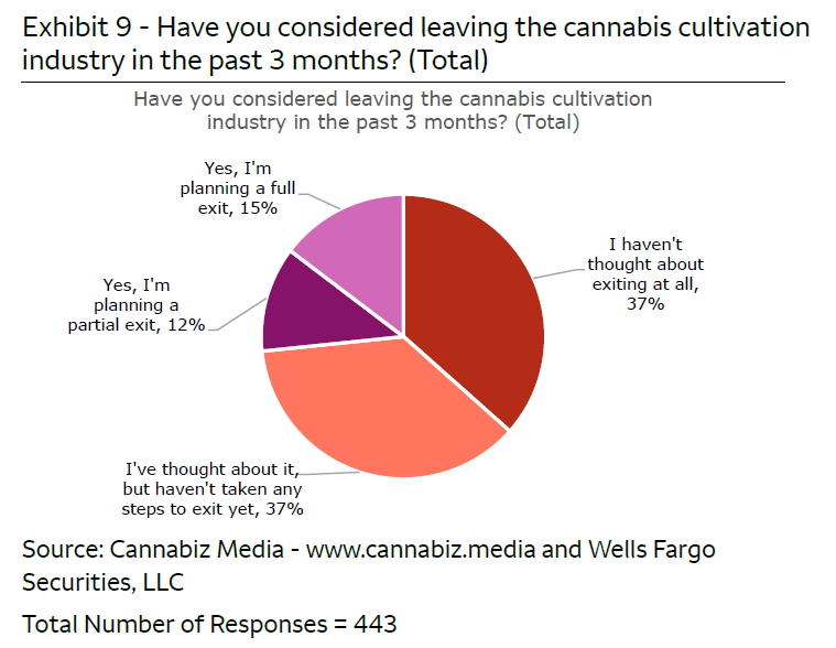 cannabis cultivator future chart