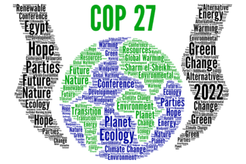 COP27 attempts to Steer Shipping Industry to New Direction.