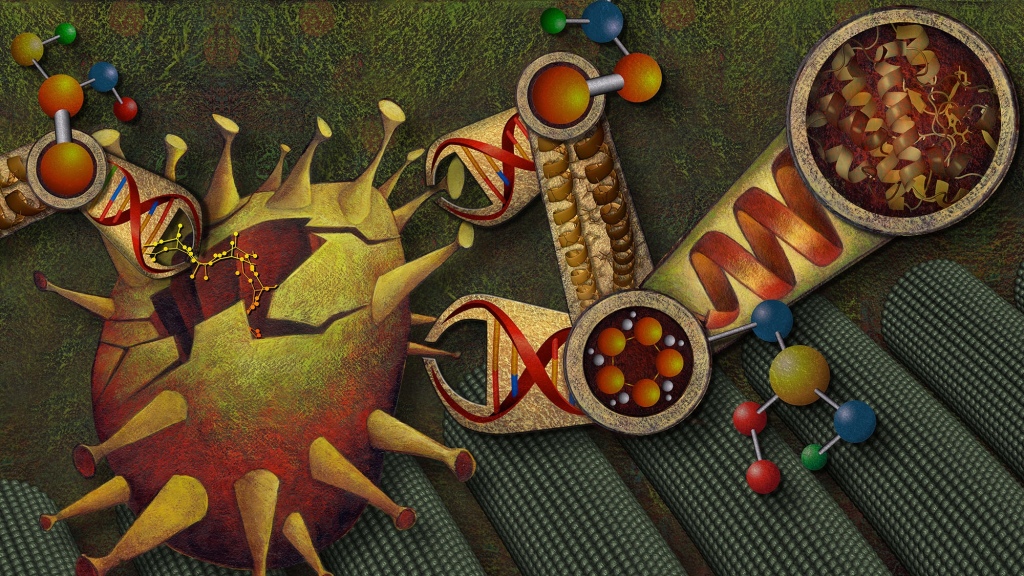 כלים ננו-טכנולוגיים של DNA: מעיצוב ליישומים: הזדמנויות ושיתופי פעולה נוכחיים - מכון וויס - אוניברסיטת הרווארד