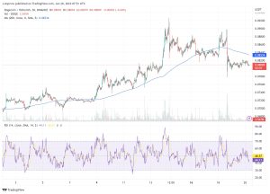 Dogecoin Price Prediction – Will We See $0.11 Price Before End of January?