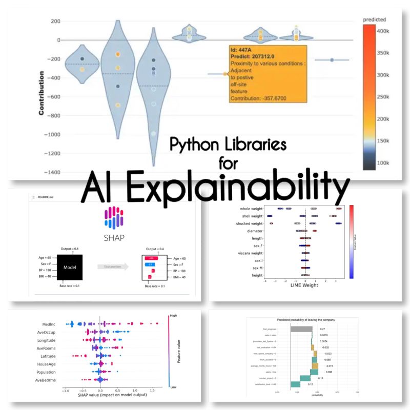Explainable AI: 모델의 결정을 이해하기 위한 10가지 Python 라이브러리