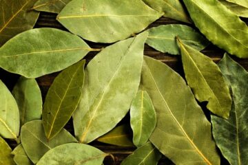 Fallen leaves help remedy iron deficiencies in plants