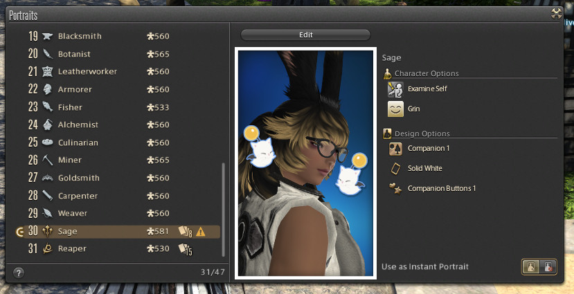 FFXIV Adventurer Plate and portrait guide