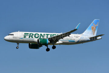 Frontier opens five new routes from Phoenix, adopt a stray kitten, get a voucher