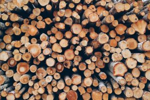 סלם-סאלם הגרמנית רושמת סגירה ראשונית של 130 מיליון דולר עבור קרן העץ העולמית