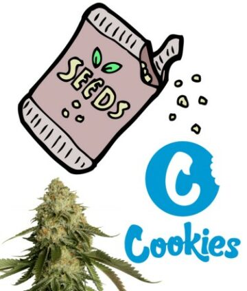 Giving Away the Secret Sauce Recipe or Building Brand Loyalty? - Cannabis Companies Selling Seeds to Consumers