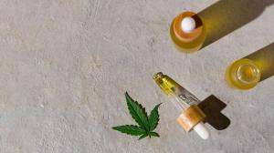 Global Organic CBD Hemp Oil Market Was Projected to Reach USD 17.24 Bn By 2031, at a CAGR Of 22.8% – World News Report