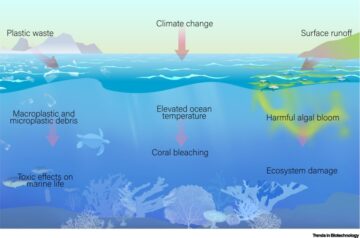 Harnessing synthetic biology to enhance ocean health