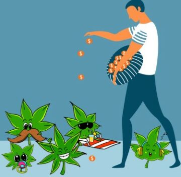 كيفية شراء بذور الماريجوانا من بنك البذور ، محليًا أو خارجيًا!
