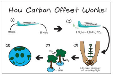 Cách xác minh tín dụng carbon