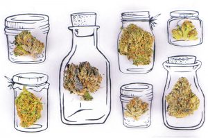 Bedeutung einer Schulung für verantwortungsbewusste Cannabisverkäufer