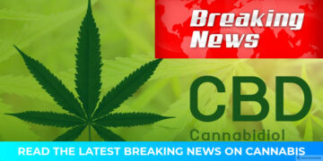 Marijuana sales tax to appear on April ballot following city approval | News