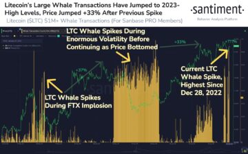 在 Litecoin 和 dYdX 上发现大量鲸鱼交易？ 地平线上的大规模集会？