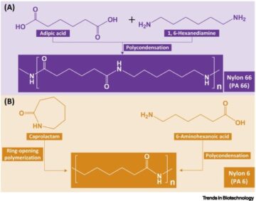 Multiencimska sinteza najlonskih monomerov iz rastlinskih olj