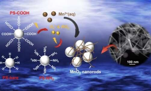 Le nanoplastiche producono inaspettatamente specie ossidanti reattive se esposte alla luce