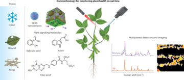 Nanosenzorji za spremljanje zdravja rastlin