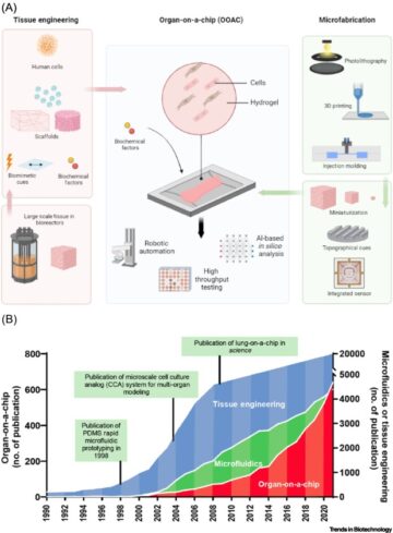 Organs-on-a-chip: a union of tissue engineering and microfabrication