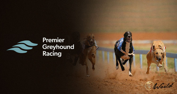 Premier Greyhound Racing zgłasza umowy dotyczące praw z czterema detalicznymi operatorami zakładów