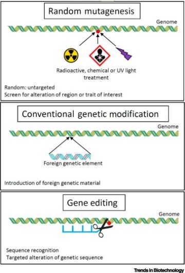 Public acceptance and stakeholder views of gene edited foods: a global overview
