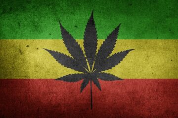 Strawberry Fields Cannabis tarjoaa palkittuja virkistys- ja lääketieteellisiä marihuananhoitopaikkoja – World News Report