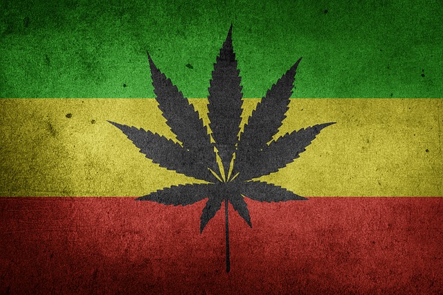 Strawberry Fields Cannabis Offers Award-Winning Recreational and Medical Marijuana Dispensaries – World News Report