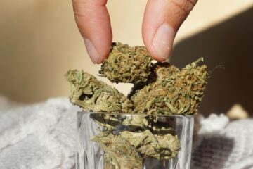 Sununu predice que la legalización de la marihuana no llegará a su escritorio