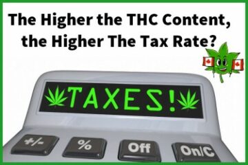 Più alti sono i livelli di THC, più alta è la tassa statale? - Un boom o un fallimento per l'industria della cannabis?