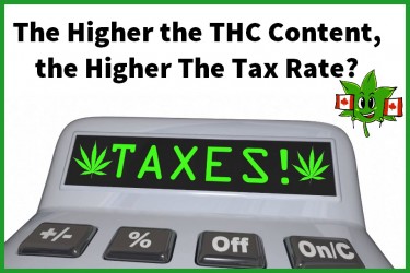 THC کی سطح جتنی زیادہ ہوگی، ریاستی ٹیکس اتنا ہی زیادہ ہوگا؟ - بھنگ کی صنعت کے لئے ایک تیزی یا ٹوٹ؟