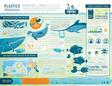 The Ocean Plastics Environmental Crisis!