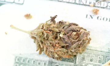 This Is Causing Prices To Drastically Plummet In Legal States