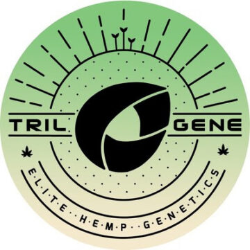 Trilogene Seeds beschleunigt die Cannabiszüchtung mithilfe der Zielsequenzierung