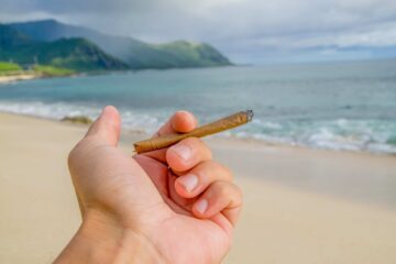 Amerikanska Jungfruöarnas lagstiftare godkänner Cannabis Legalization Bill