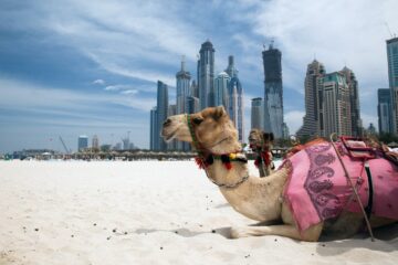 وزیر امارات متحده عربی می‌گوید کریپتو نقش مهمی برای تجارت امارات خواهد داشت.