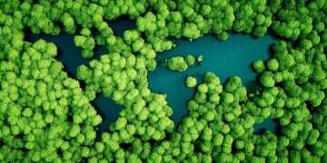 UN: Nature based solutions need to more than double by 2025