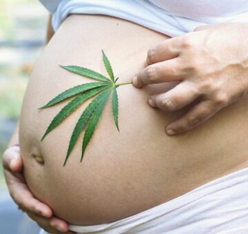 Utilizarea de marijuana medicală în timpul sarcinii nu mai este considerată abuz asupra copiilor în Arizona