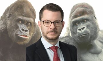 Technológiai gorillákat kereső VC digitális IPO-ra készül