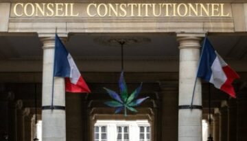 Yaşasın Kenevir ve CBD! - Fransız Mahkemesi, Fransa'da Kenevir Çiçeği ve CBD Yasağını Kaldırdı