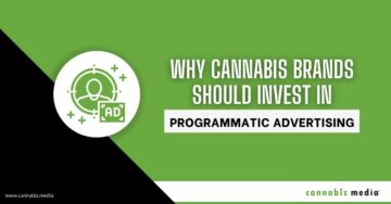 Por qué las marcas de cannabis deberían invertir en publicidad programática | Cannabiz Media