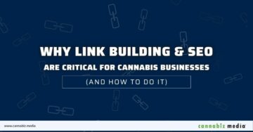 Por qué la construcción de enlaces y el SEO son críticos para las empresas de cannabis (y cómo hacerlo) | Cannabiz Media