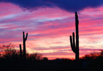 10 Beautiful Places in Tucson Locals Rave About