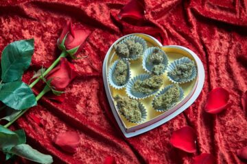 6 chocolate weed strains worth trying this Valentine's Day