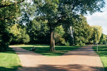 7 Popular Parks in Norwalk, CT That Locals Love